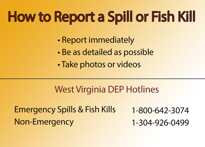 How to report a spill or fish kill west virginia