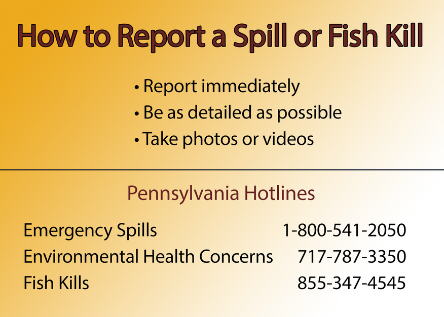 How to report a spill or fish kill pennsylvania