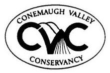 Conemaugh Valley logo